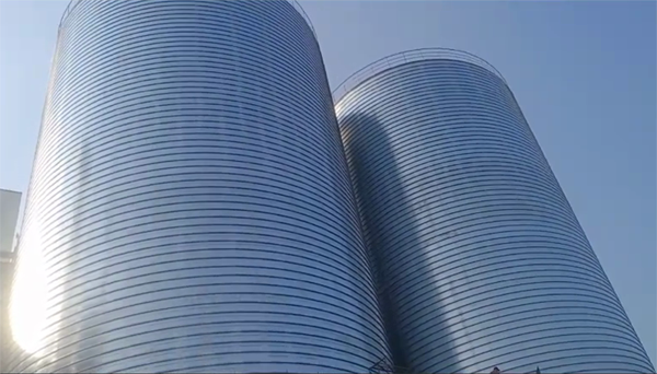 黄山2座混凝土高架卷板仓